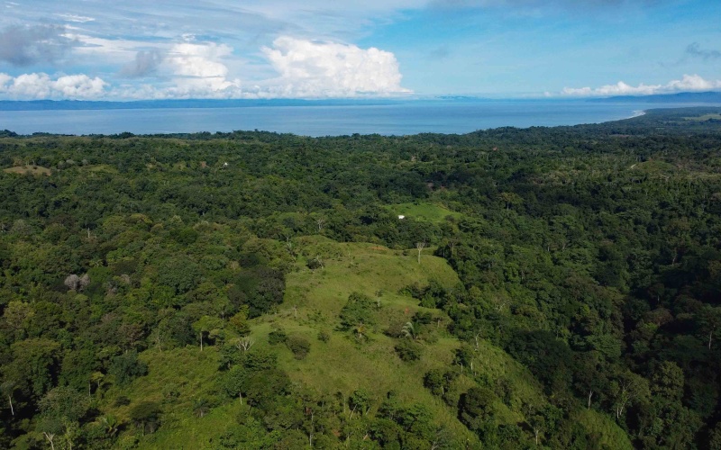 Cuervito Costa Rica real estate, Pavones land for sale, Pilon property for sale, ocean view estate Costa Rica, farm for sale Pavones, Rio Cuervito land, Pavones mountain view, Pavones surf property, Golfo Dulce real estate, Pavones development land