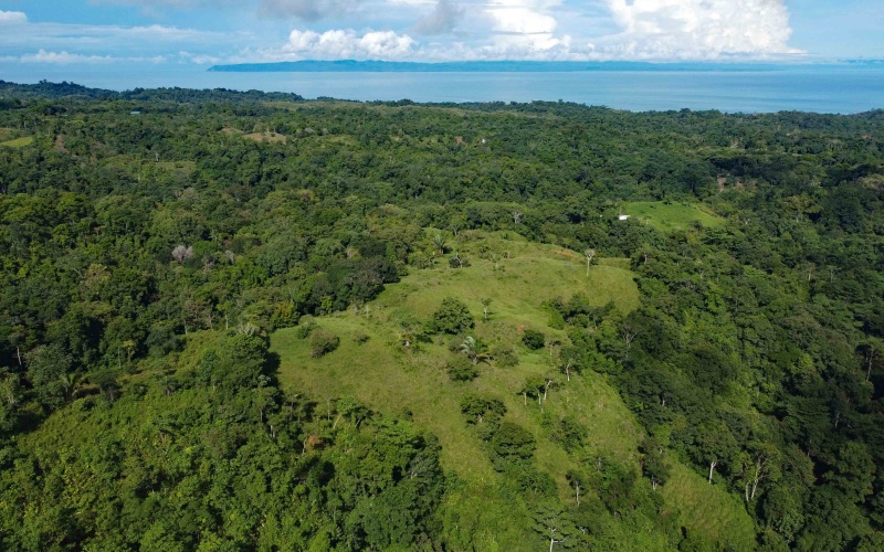 Cuervito Costa Rica real estate, Pavones land for sale, Pilon property for sale, ocean view estate Costa Rica, farm for sale Pavones, Rio Cuervito land, Pavones mountain view, Pavones surf property, Golfo Dulce real estate, Pavones development land