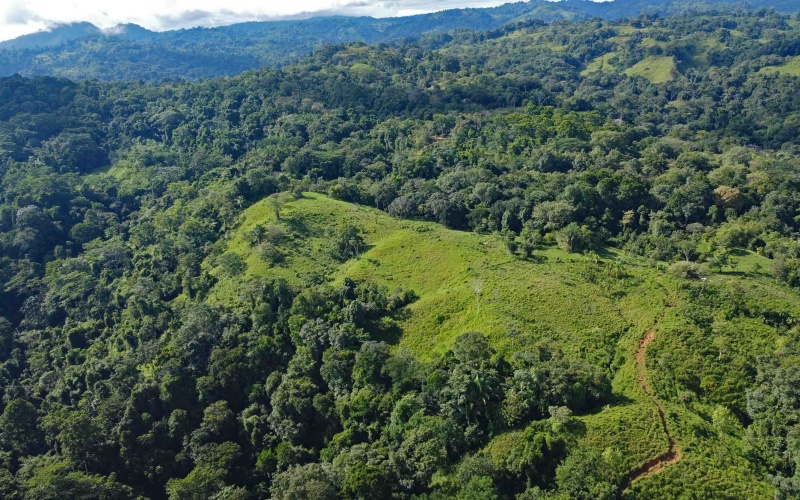 Cuervito Costa Rica real estate, Pavones land for sale, Pilon property for sale, ocean view estate Costa Rica, farm for sale Pavones, Rio Cuervito land, Pavones mountain view, Pavones surf property, Golfo Dulce real estate, Pavones development land