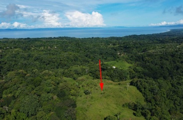 Cuervito Costa Rica real estate, Pavones land for sale, Pilon property for sale, ocean view estate Costa Rica, farm for sale Pavones, Rio Cuervito land, Pavones mountain view, Pavones surf property, Golfo Dulce real estate, Pavones development land