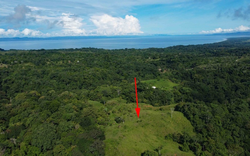Cuervito Costa Rica real estate, Pavones land for sale, Pilon property for sale, ocean view estate Costa Rica, farm for sale Pavones, Rio Cuervito land, Pavones mountain view, Pavones surf property, Golfo Dulce real estate, Pavones development land