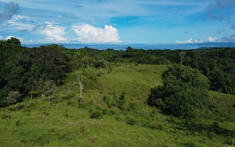 Cuervito Costa Rica real estate, Pavones land for sale, Pilon property for sale, ocean view estate Costa Rica, farm for sale Pavones, Rio Cuervito land, Pavones mountain view, Pavones surf property, Golfo Dulce real estate, Pavones development land