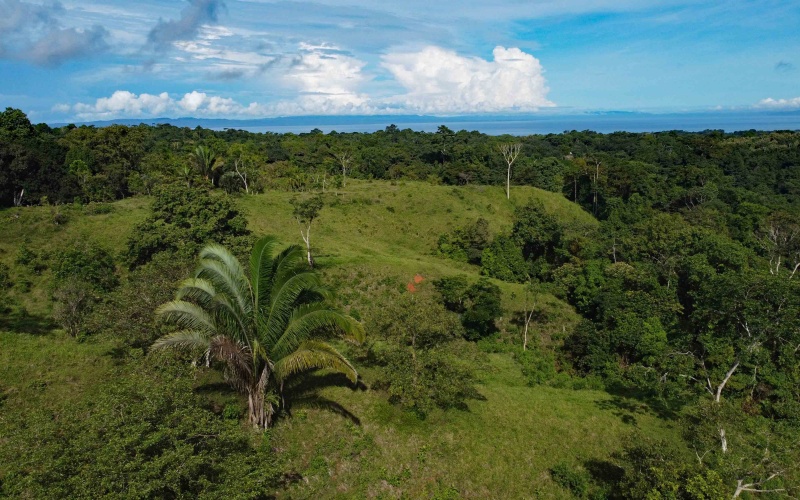 Cuervito Costa Rica real estate, Pavones land for sale, Pilon property for sale, ocean view estate Costa Rica, farm for sale Pavones, Rio Cuervito land, Pavones mountain view, Pavones surf property, Golfo Dulce real estate, Pavones development land