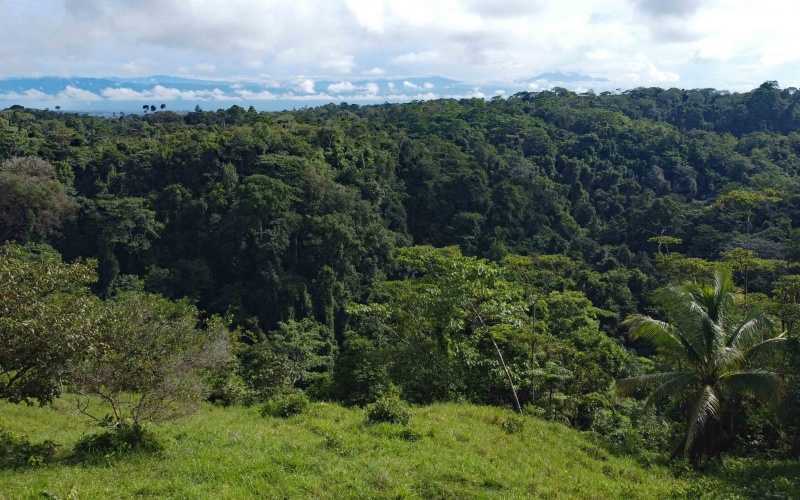 Cuervito Costa Rica real estate, Pavones land for sale, Pilon property for sale, ocean view estate Costa Rica, farm for sale Pavones, Rio Cuervito land, Pavones mountain view, Pavones surf property, Golfo Dulce real estate, Pavones development land
