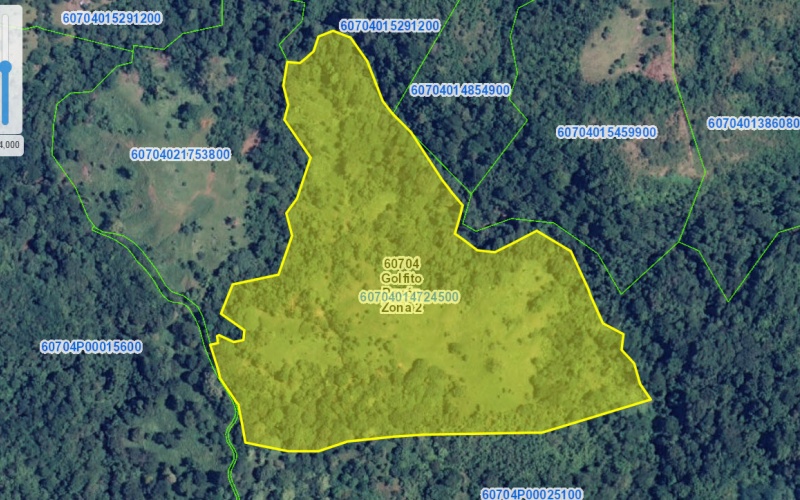 Cuervito Costa Rica real estate, Pavones land for sale, Pilon property for sale, ocean view estate Costa Rica, farm for sale Pavones, Rio Cuervito land, Pavones mountain view, Pavones surf property, Golfo Dulce real estate, Pavones development land