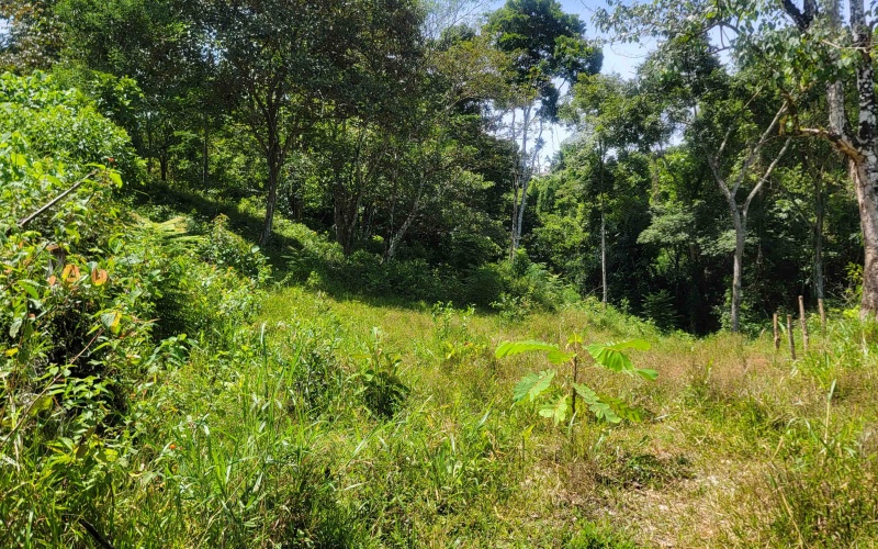 Pavones property, Cuervito lot for sale, Playa Pilon real estate, Pavones Costa Rica land, surf property Costa Rica, Pavones mountain lot