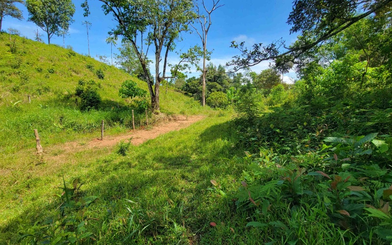 Pavones property, Cuervito lot for sale, Playa Pilon real estate, Pavones Costa Rica land, surf property Costa Rica, Pavones mountain lot