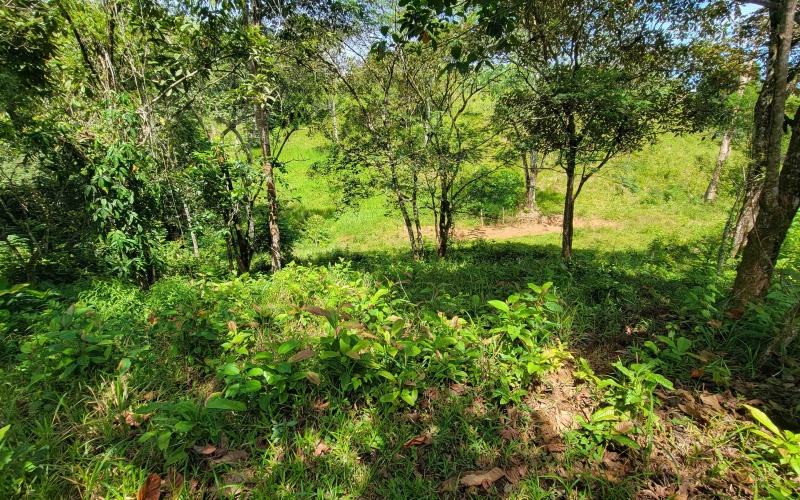Pavones property, Cuervito lot for sale, Playa Pilon real estate, Pavones Costa Rica land, surf property Costa Rica, Pavones mountain lot