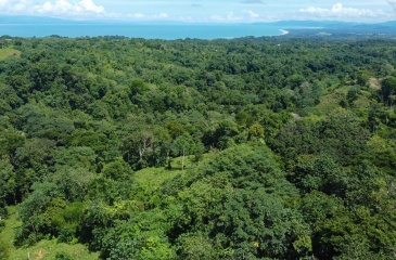 Pavones property, Cuervito lot for sale, Playa Pilon real estate, Pavones Costa Rica land, surf property Costa Rica, Pavones mountain lot