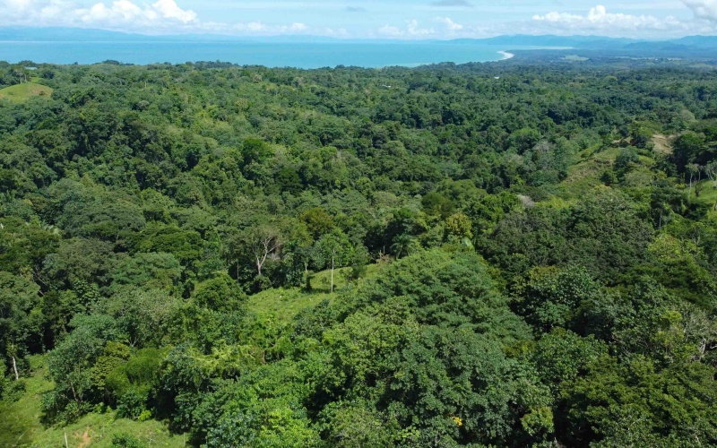 Pavones property, Cuervito lot for sale, Playa Pilon real estate, Pavones Costa Rica land, surf property Costa Rica, Pavones mountain lot