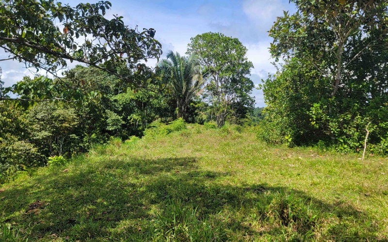 Cuervito de Pavones land for sale, ocean view lot Pavones, Costa Rica real estate, Pilon Beach property, Pavones mountain view lot, land for sale near Pavones, Pavones property for sale, Cuervito lot, Pavones investment property