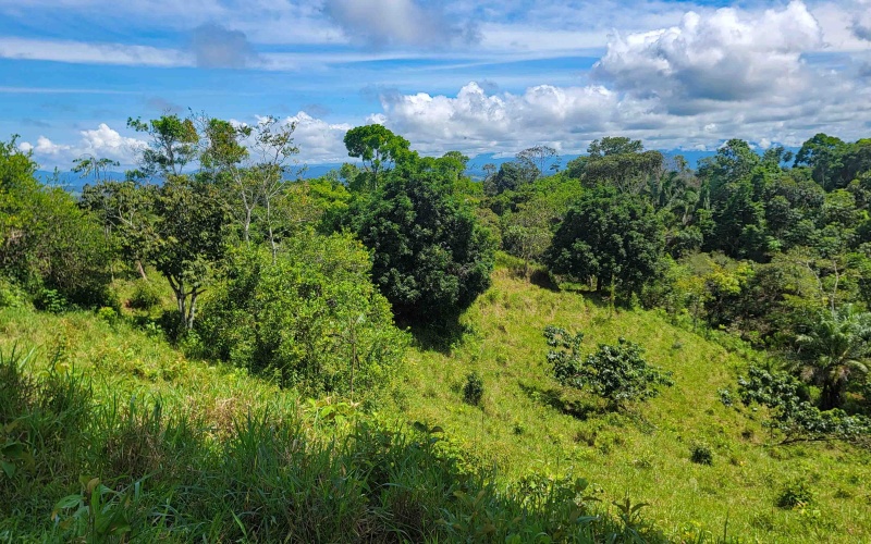 Cuervito de Pavones land for sale, ocean view lot Pavones, Costa Rica real estate, Pilon Beach property, Pavones mountain view lot, land for sale near Pavones, Pavones property for sale, Cuervito lot, Pavones investment property