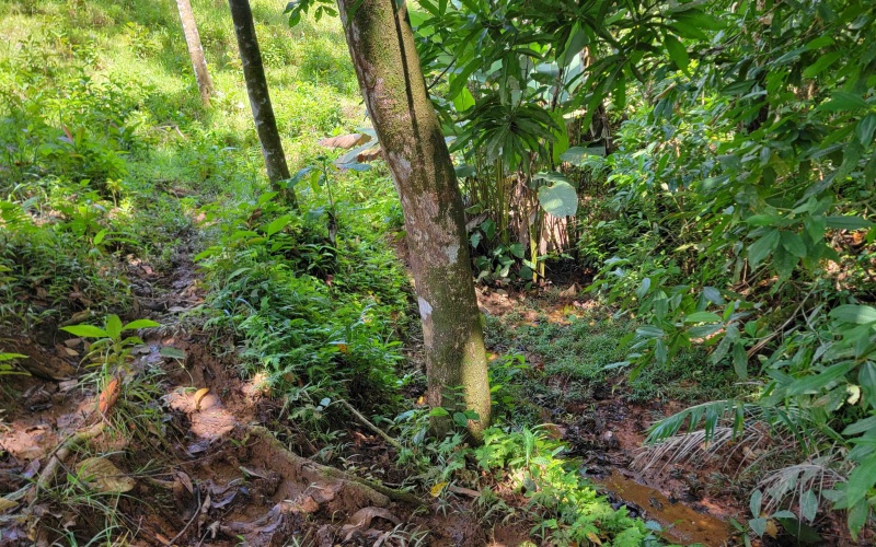 Cuervito de Pavones land for sale, ocean view lot Pavones, Costa Rica real estate, Pilon Beach property, Pavones mountain view lot, land for sale near Pavones, Pavones property for sale, Cuervito lot, Pavones investment property