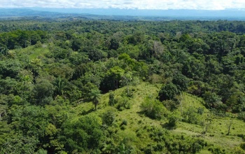 Cuervito de Pavones land for sale, ocean view lot Pavones, Costa Rica real estate, Pilon Beach property, Pavones mountain view lot, land for sale near Pavones, Pavones property for sale, Cuervito lot, Pavones investment property