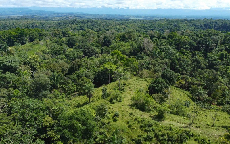 Cuervito de Pavones land for sale, ocean view lot Pavones, Costa Rica real estate, Pilon Beach property, Pavones mountain view lot, land for sale near Pavones, Pavones property for sale, Cuervito lot, Pavones investment property