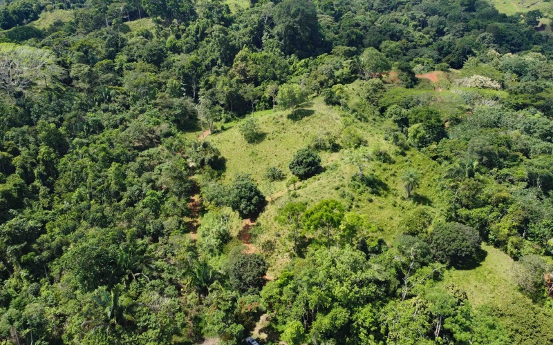 Cuervito de Pavones land for sale, ocean view lot Pavones, Costa Rica real estate, Pilon Beach property, Pavones mountain view lot, land for sale near Pavones, Pavones property for sale, Cuervito lot, Pavones investment property
