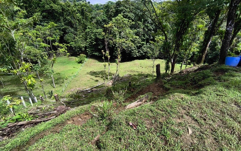 Pavones real estate, Pavones ocean view lot, Punta Banco property, Pavones land for sale, Costa Rica surf property, Rio Nicaragua Pavones, Golfo Dulce view lot, Pavones building lot, Pavones investment property, Pavones hillside land