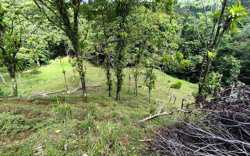 Pavones real estate, Pavones ocean view lot, Punta Banco property, Pavones land for sale, Costa Rica surf property, Rio Nicaragua Pavones, Golfo Dulce view lot, Pavones building lot, Pavones investment property, Pavones hillside land
