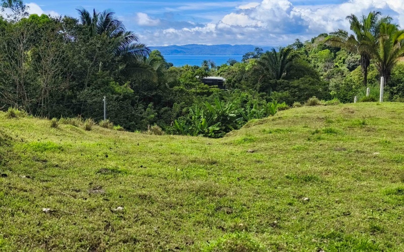 Pavones real estate, Pavones ocean view lot, Punta Banco property, Pavones land for sale, Costa Rica surf property, Rio Nicaragua Pavones, Golfo Dulce view lot, Pavones building lot, Pavones investment property, Pavones hillside land