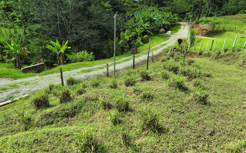 Pavones real estate, Pavones ocean view lot, Punta Banco property, Pavones land for sale, Costa Rica surf property, Rio Nicaragua Pavones, Golfo Dulce view lot, Pavones building lot, Pavones investment property, Pavones hillside land