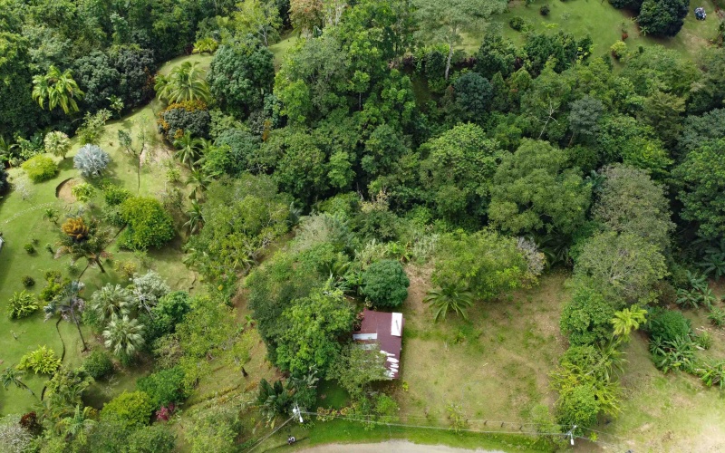 Vistamar Punta Banco, Punta Banco mountain lot, Costa Rica elevated lot, jungle lot for sale Costa Rica, off-grid land Costa Rica, Punta Banco real estate, Pavones area land, ocean glimpse lot Costa Rica, end of the road property Costa Rica