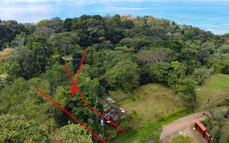 Vistamar Punta Banco, Punta Banco mountain lot, Costa Rica elevated lot, jungle lot for sale Costa Rica, off-grid land Costa Rica, Punta Banco real estate, Pavones area land, ocean glimpse lot Costa Rica, end of the road property Costa Rica