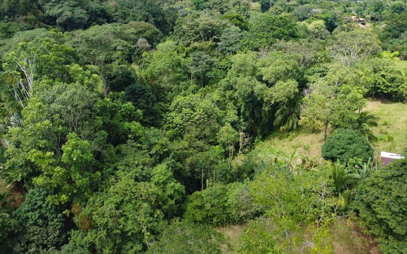 Vistamar Punta Banco, Punta Banco mountain lot, Costa Rica elevated lot, jungle lot for sale Costa Rica, off-grid land Costa Rica, Punta Banco real estate, Pavones area land, ocean glimpse lot Costa Rica, end of the road property Costa Rica