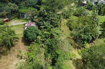 Vistamar Punta Banco, Punta Banco mountain lot, Costa Rica elevated lot, jungle lot for sale Costa Rica, off-grid land Costa Rica, Punta Banco real estate, Pavones area land, ocean glimpse lot Costa Rica, end of the road property Costa Rica