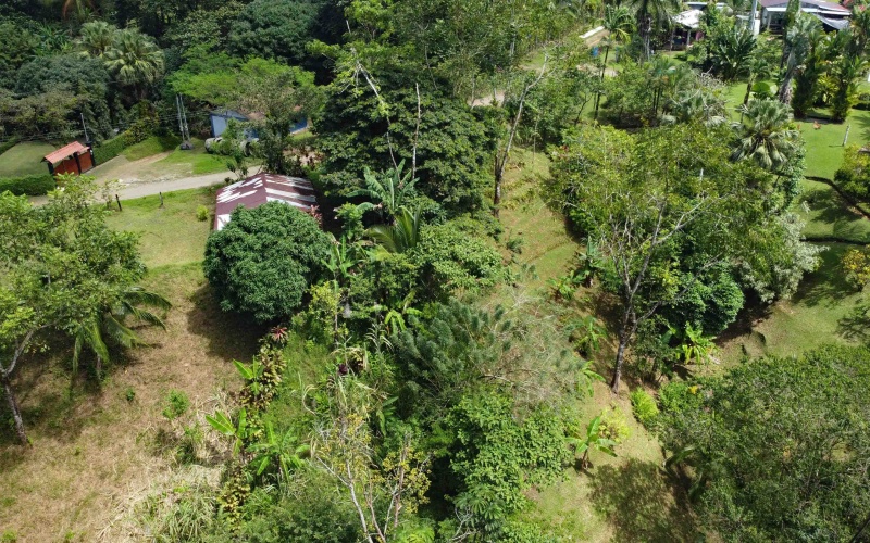 Vistamar Punta Banco, Punta Banco mountain lot, Costa Rica elevated lot, jungle lot for sale Costa Rica, off-grid land Costa Rica, Punta Banco real estate, Pavones area land, ocean glimpse lot Costa Rica, end of the road property Costa Rica