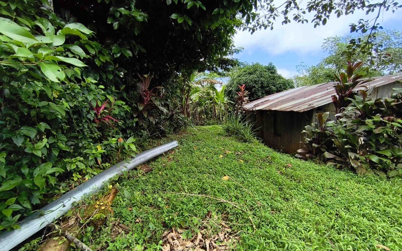 Vistamar Punta Banco, Punta Banco mountain lot, Costa Rica elevated lot, jungle lot for sale Costa Rica, off-grid land Costa Rica, Punta Banco real estate, Pavones area land, ocean glimpse lot Costa Rica, end of the road property Costa Rica