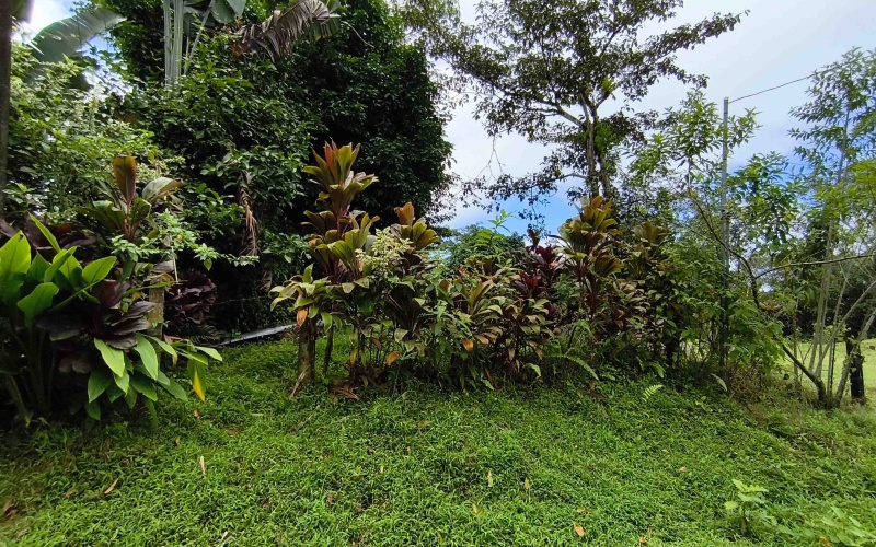 Vistamar Punta Banco, Punta Banco mountain lot, Costa Rica elevated lot, jungle lot for sale Costa Rica, off-grid land Costa Rica, Punta Banco real estate, Pavones area land, ocean glimpse lot Costa Rica, end of the road property Costa Rica