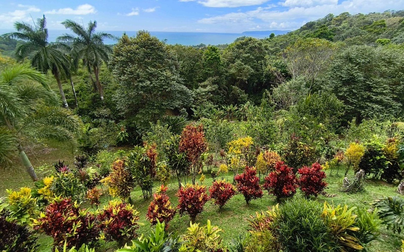 Pavones real estate, Pavones home for sale, Pavones luxury property, Golfo Dulce ocean view home, Costa Rica luxury homes, Pavones modern house, Pavones pool home for sale, Pavones surf real estate, Southern Costa Rica property for sale