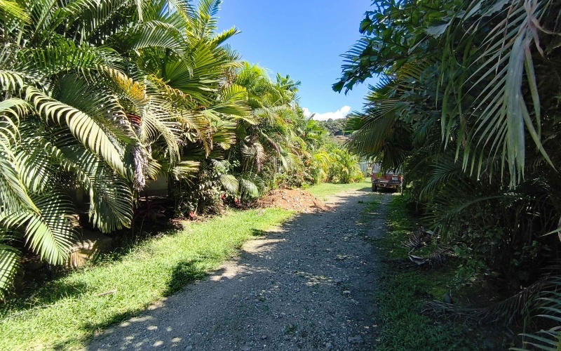 Pavones real estate for sale, Pavones surf property, Titled land Pavones Costa Rica, Investment property Costa Rica, Pavones rental business, Homes near Pavones Point, Costa Rica surf real estate