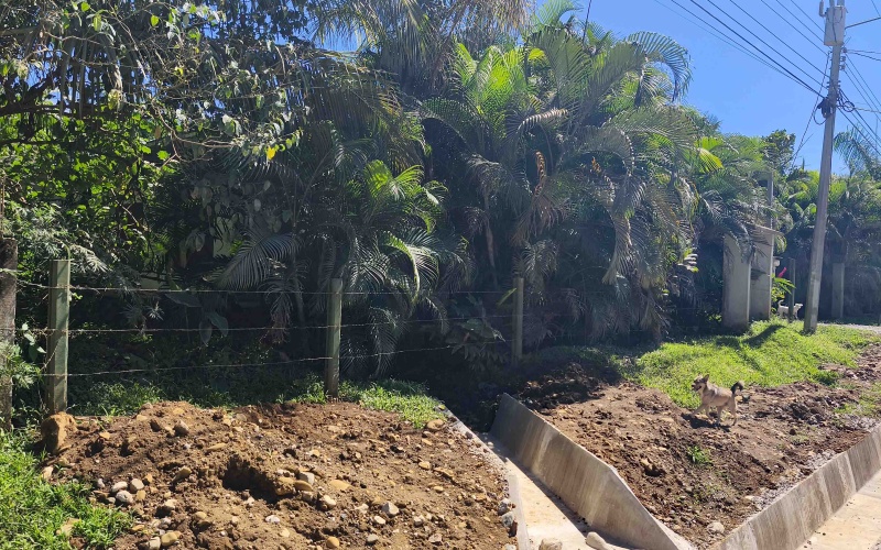 Pavones real estate for sale, Pavones surf property, Titled land Pavones Costa Rica, Investment property Costa Rica, Pavones rental business, Homes near Pavones Point, Costa Rica surf real estate