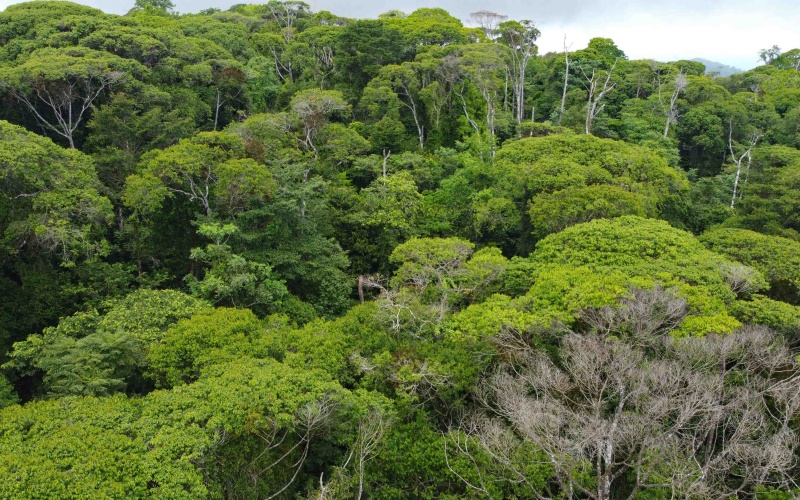 Costa Rica Conservation Land,  Eco-Lodge For Sale Golfito, 168 Acres Titled Jungle, Sustainable Real Estate Costa Rica, Private Waterfalls Golfito, Biological Corridor Property