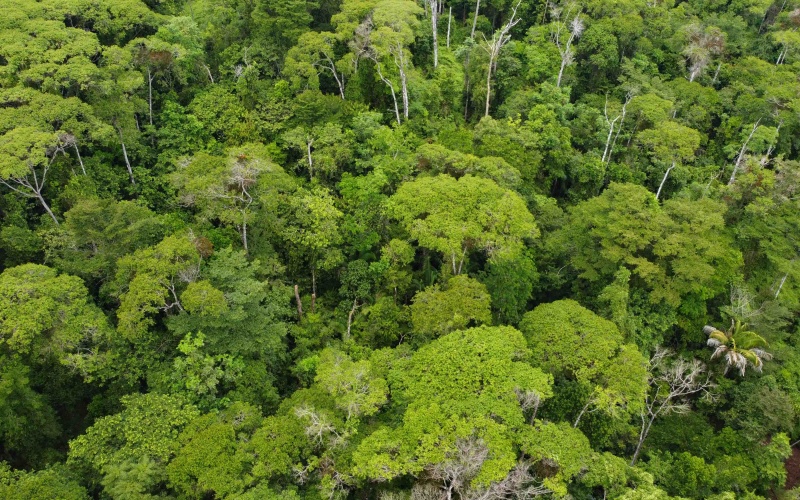 Costa Rica Conservation Land,  Eco-Lodge For Sale Golfito, 168 Acres Titled Jungle, Sustainable Real Estate Costa Rica, Private Waterfalls Golfito, Biological Corridor Property