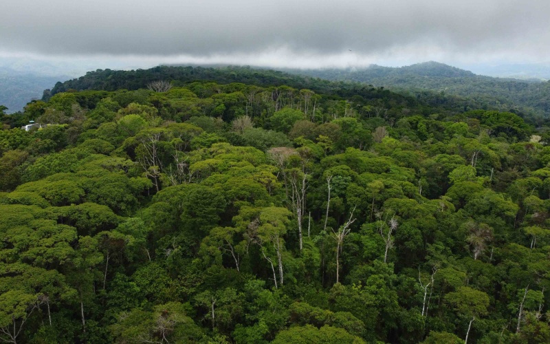 Costa Rica Conservation Land,  Eco-Lodge For Sale Golfito, 168 Acres Titled Jungle, Sustainable Real Estate Costa Rica, Private Waterfalls Golfito, Biological Corridor Property