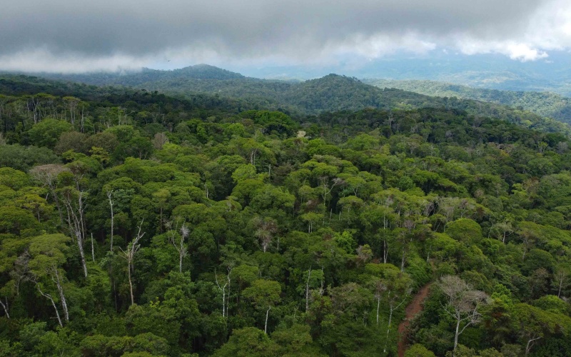 Costa Rica Conservation Land,  Eco-Lodge For Sale Golfito, 168 Acres Titled Jungle, Sustainable Real Estate Costa Rica, Private Waterfalls Golfito, Biological Corridor Property