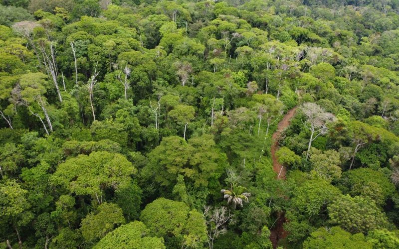 Costa Rica Conservation Land,  Eco-Lodge For Sale Golfito, 168 Acres Titled Jungle, Sustainable Real Estate Costa Rica, Private Waterfalls Golfito, Biological Corridor Property