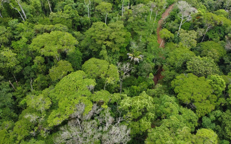 Costa Rica Conservation Land,  Eco-Lodge For Sale Golfito, 168 Acres Titled Jungle, Sustainable Real Estate Costa Rica, Private Waterfalls Golfito, Biological Corridor Property