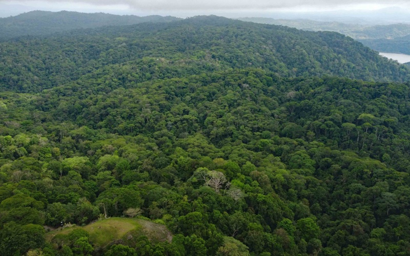 Costa Rica Conservation Land,  Eco-Lodge For Sale Golfito, 168 Acres Titled Jungle, Sustainable Real Estate Costa Rica, Private Waterfalls Golfito, Biological Corridor Property