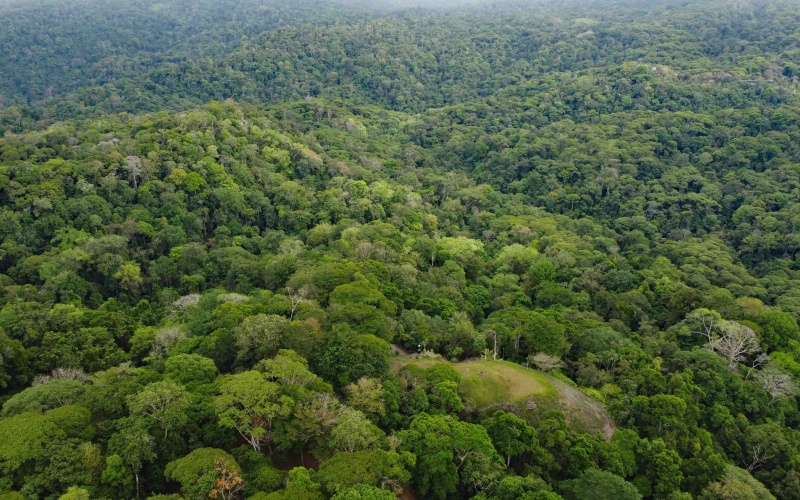 Costa Rica Conservation Land,  Eco-Lodge For Sale Golfito, 168 Acres Titled Jungle, Sustainable Real Estate Costa Rica, Private Waterfalls Golfito, Biological Corridor Property