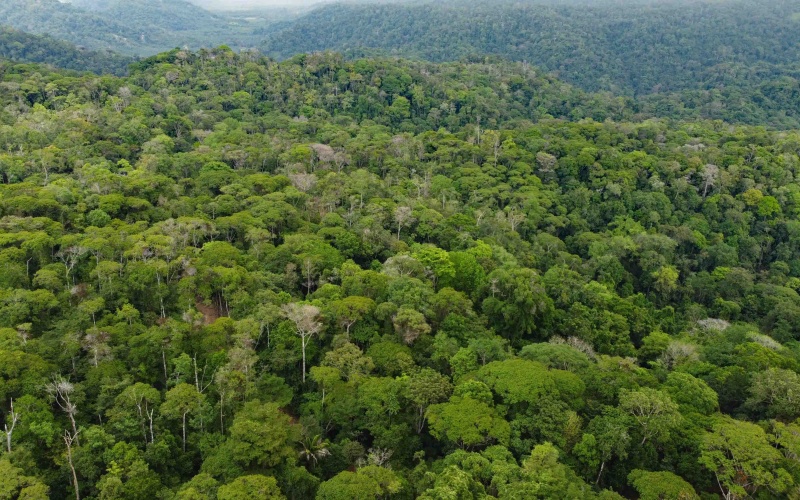 Costa Rica Conservation Land,  Eco-Lodge For Sale Golfito, 168 Acres Titled Jungle, Sustainable Real Estate Costa Rica, Private Waterfalls Golfito, Biological Corridor Property