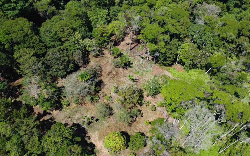 Costa Rica Conservation Land,  Eco-Lodge For Sale Golfito, 168 Acres Titled Jungle, Sustainable Real Estate Costa Rica, Private Waterfalls Golfito, Biological Corridor Property