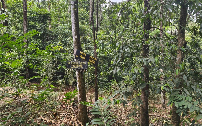 Costa Rica Conservation Land,  Eco-Lodge For Sale Golfito, 168 Acres Titled Jungle, Sustainable Real Estate Costa Rica, Private Waterfalls Golfito, Biological Corridor Property