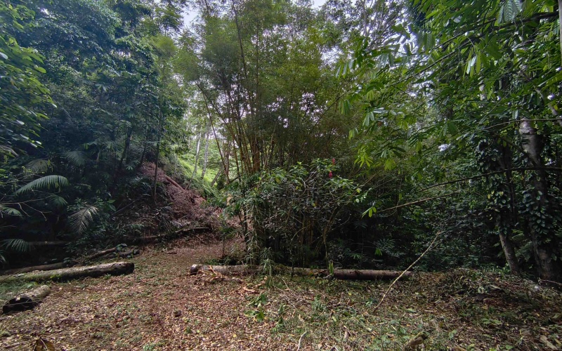 Costa Rica Conservation Land,  Eco-Lodge For Sale Golfito, 168 Acres Titled Jungle, Sustainable Real Estate Costa Rica, Private Waterfalls Golfito, Biological Corridor Property
