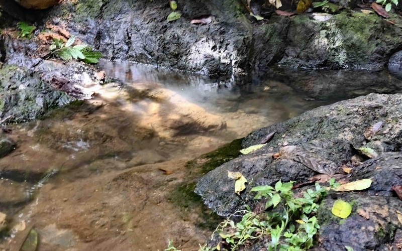 Costa Rica Conservation Land,  Eco-Lodge For Sale Golfito, 168 Acres Titled Jungle, Sustainable Real Estate Costa Rica, Private Waterfalls Golfito, Biological Corridor Property