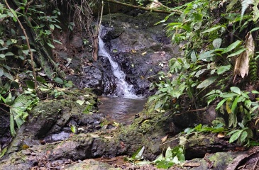 Costa Rica Conservation Land,  Eco-Lodge For Sale Golfito, 168 Acres Titled Jungle, Sustainable Real Estate Costa Rica, Private Waterfalls Golfito, Biological Corridor Property