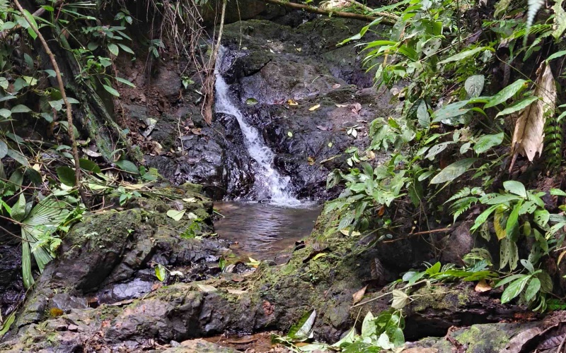 Costa Rica Conservation Land,  Eco-Lodge For Sale Golfito, 168 Acres Titled Jungle, Sustainable Real Estate Costa Rica, Private Waterfalls Golfito, Biological Corridor Property