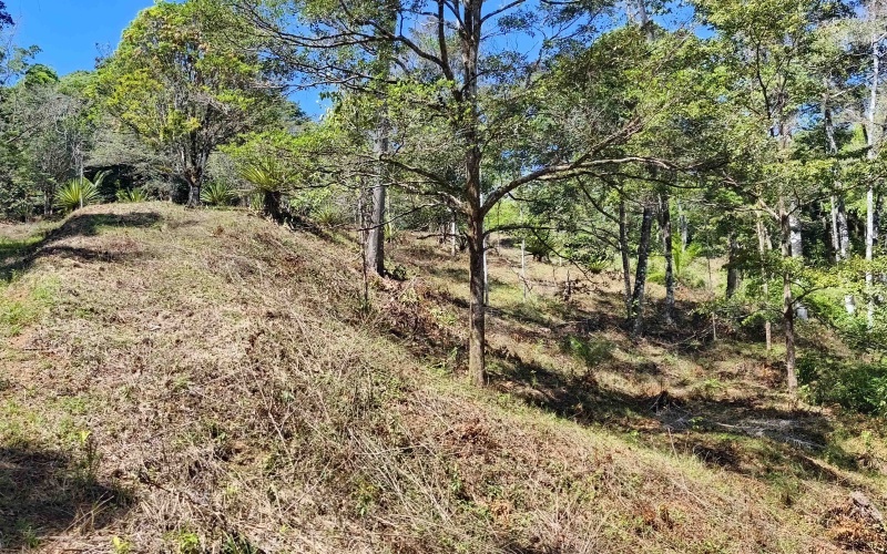 Costa Rica Conservation Land,  Eco-Lodge For Sale Golfito, 168 Acres Titled Jungle, Sustainable Real Estate Costa Rica, Private Waterfalls Golfito, Biological Corridor Property